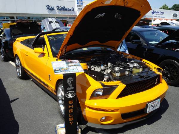 Australian ford forums powered vbulletin #3